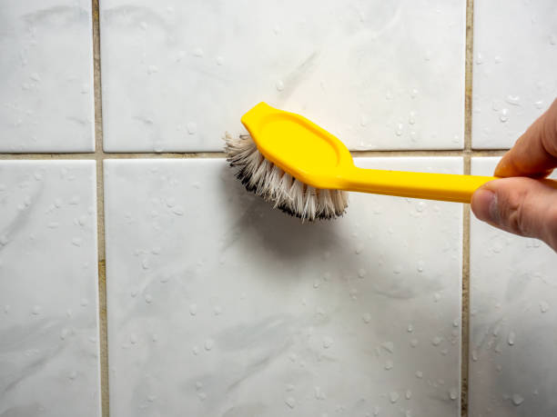 Best Basement Mold Remediation in Hlside, IL