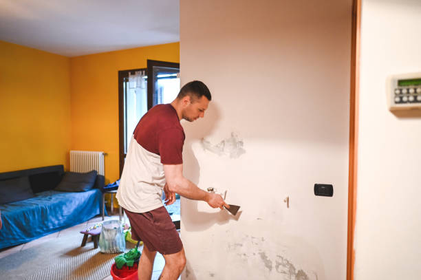 Best HVAC Mold Remediation in Hlside, IL